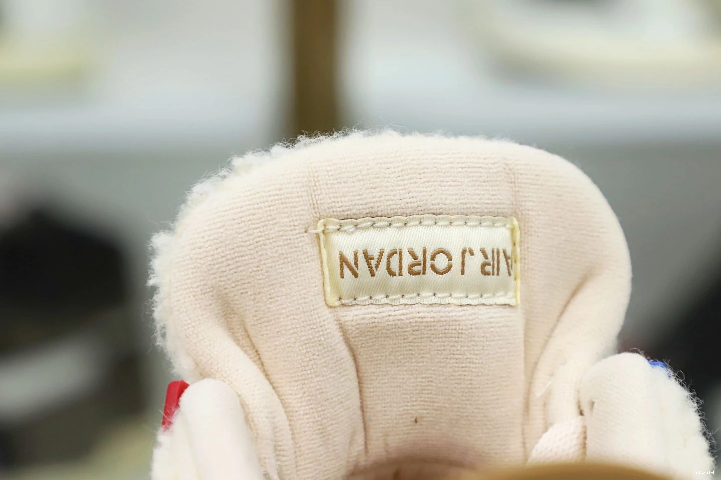 RETRO AIR 'WILD GS 4 JORDAN THINGS' 0225